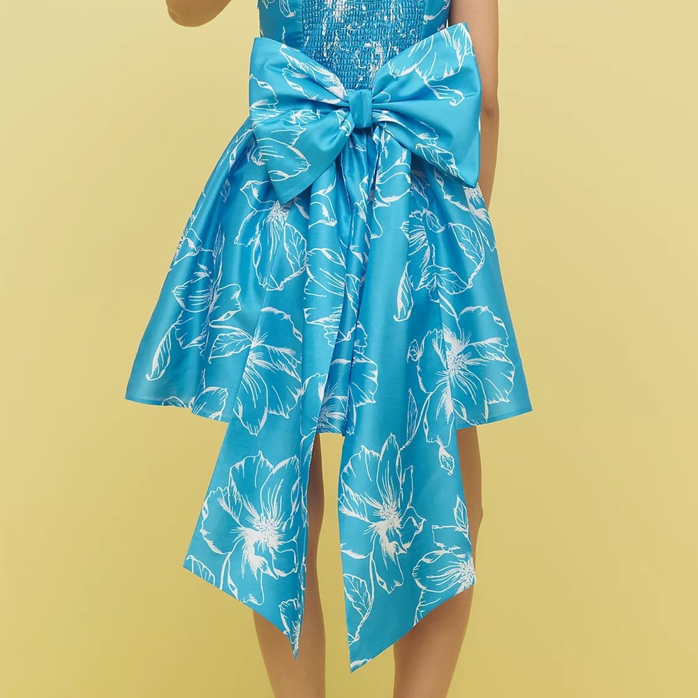 Anthropologie Hutch Blue Floral Basque Waist Back Bow High Low Mini Dress Medium - Picture 2 of 5